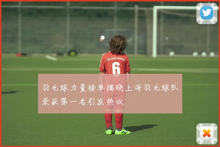 羽毛球力量榜单揭晓上海羽毛球队荣获第一名引发热议