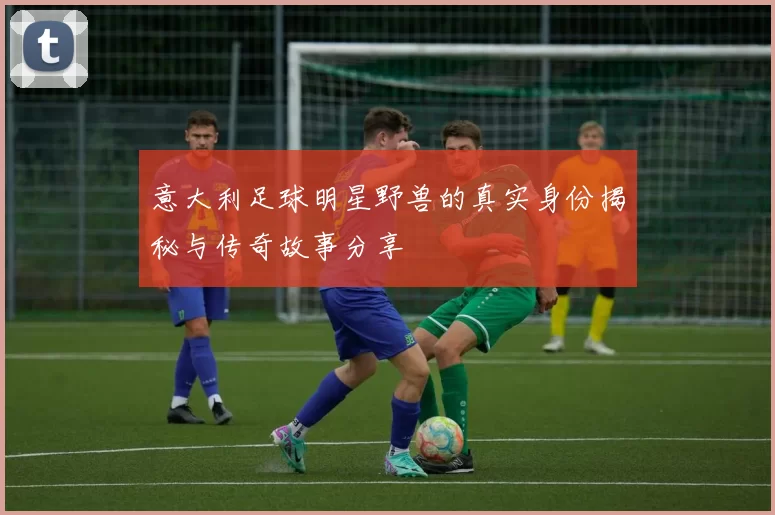 意大利足球明星野兽的真实身份揭秘与传奇故事分享