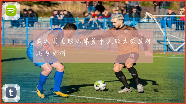 武汉羽毛球队球员个人能力深度对比与分析