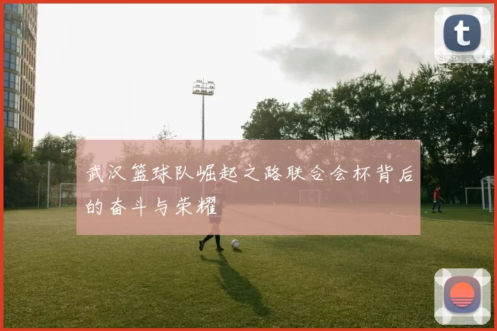 武汉篮球队崛起之路联合会杯背后的奋斗与荣耀