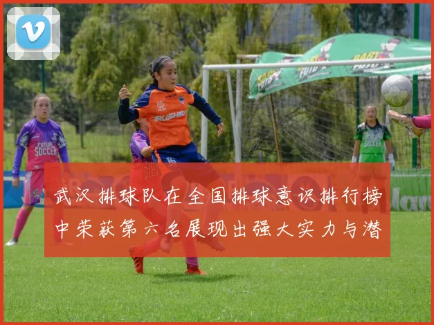 武汉排球队在全国排球意识排行榜中荣获第六名展现出强大实力与潜力
