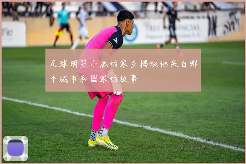 足球明星小鹿的家乡揭秘他来自哪个城市和国家的故事