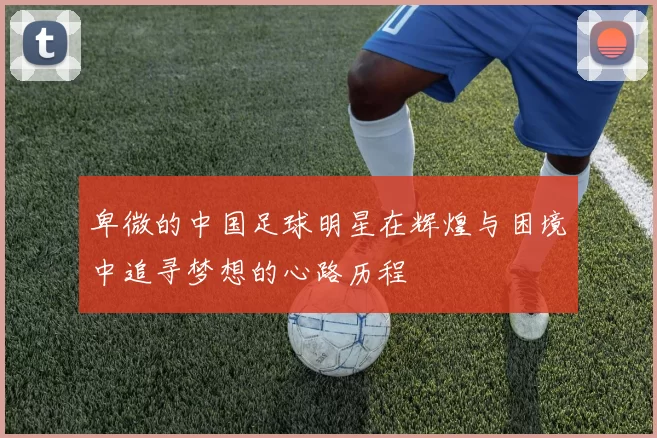 卑微的中国足球明星在辉煌与困境中追寻梦想的心路历程