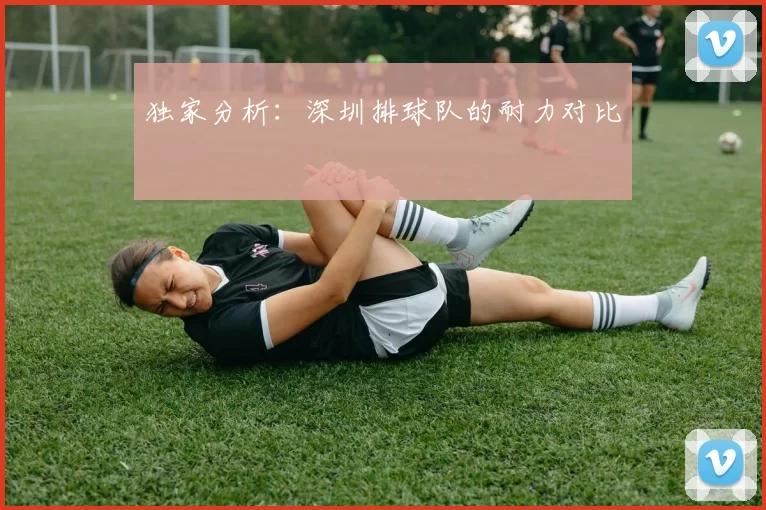 独家分析：深圳排球队的耐力对比