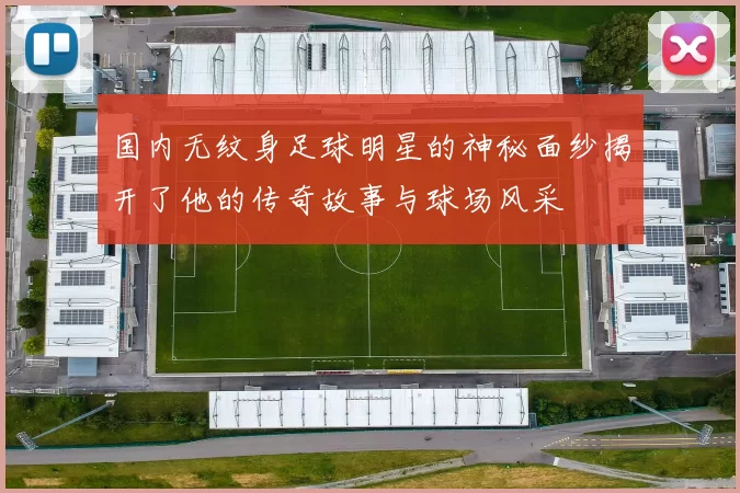 国内无纹身足球明星的神秘面纱揭开了他的传奇故事与球场风采