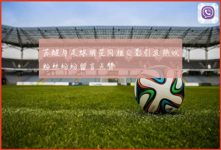苏醒与足球明星同框合影引发热议粉丝纷纷留言点赞