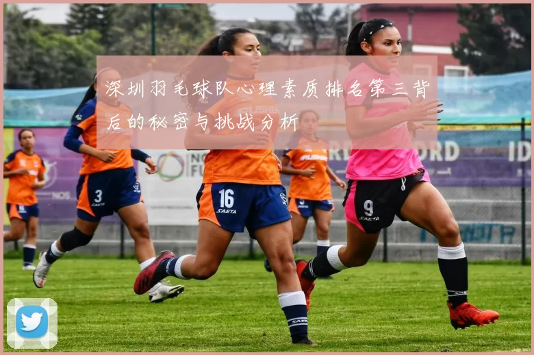深圳羽毛球队心理素质排名第三背后的秘密与挑战分析