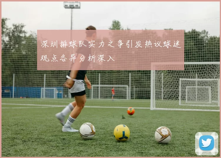 深圳排球队实力之争引发热议球迷观点各异分析深入