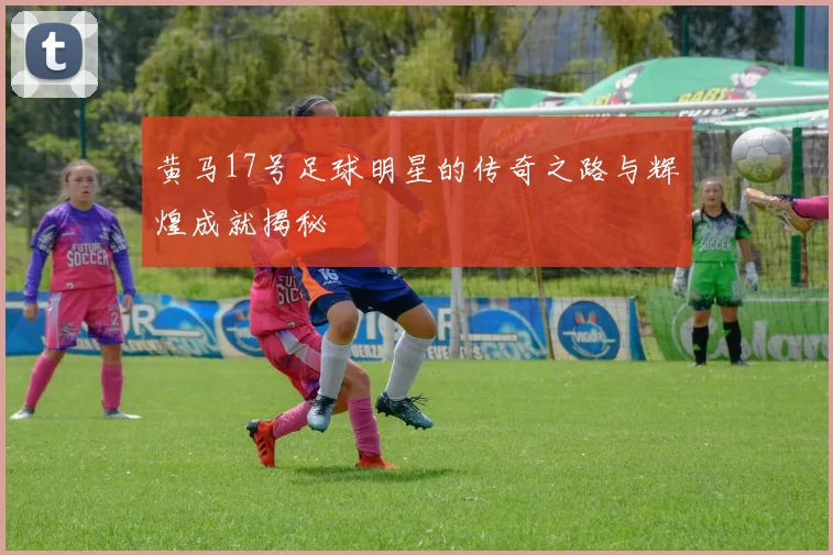 黄马17号足球明星的传奇之路与辉煌成就揭秘