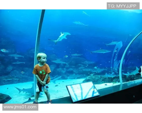 足球明星与海洋奇遇记高清抱鱼瞬间展现运动与自然的完美结合