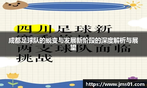 成都足球队的蜕变与发展新阶段的深度解析与展望